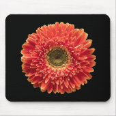 Flowers Orange Gerbera Daisy Muismat (Voorkant)