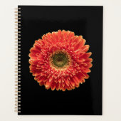 Flowers | Orange Gerbera Daisy Planner (Voorkant)