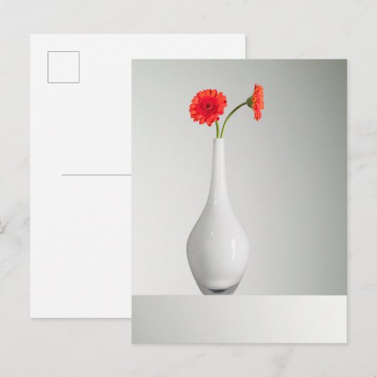 Flowers | Orange Gerbera in Vase Briefkaart (Voorkant / Achterkant)