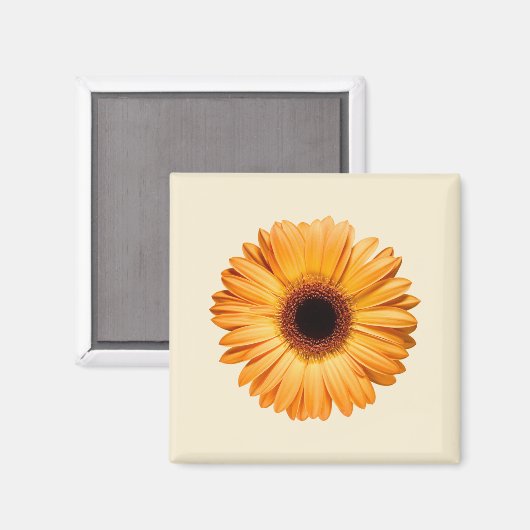 Flowers Orange Gerbera Magneet (Voorkant / Achterkant)
