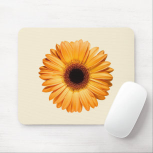 Flowers Orange Gerbera Muismat