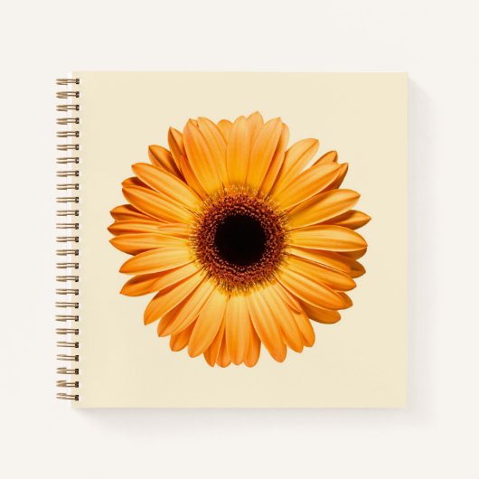 Flowers | Orange Gerbera Notitieboek (Voorkant)
