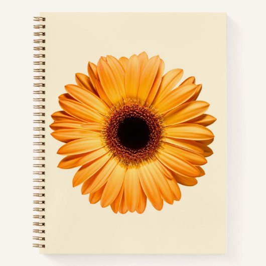 Flowers | Orange Gerbera Notitieboek (Voorkant)