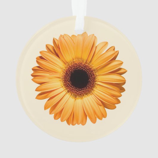 Flowers Orange Gerbera Ornament (achterkant)