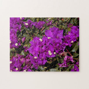 Flowers Paarse Bougainvillea Floral Natuur Legpuzzel