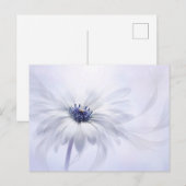 Flowers | Pale Purple Flower Briefkaart (Voorkant / Achterkant)