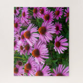 Flowers | Pink Coneflower Garden Legpuzzel (Verticaal)