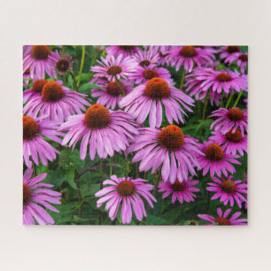 Flowers   Pink Coneflower Garden Legpuzzel