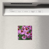 Flowers | Pink Coneflower Garden Magneet (Insitu (Vaatwasser))