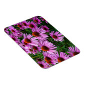 Flowers | Pink Coneflower Garden Magneet (Rechterzijde)