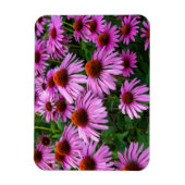 Flowers | Pink Coneflower Garden Magneet (Verticaal)