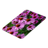 Flowers | Pink Coneflower Garden Magneet (Linkerzijde)