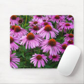 Flowers | Pink Coneflower Garden Muismat (Met muis)