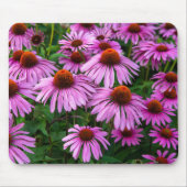 Flowers | Pink Coneflower Garden Muismat (Voorkant)