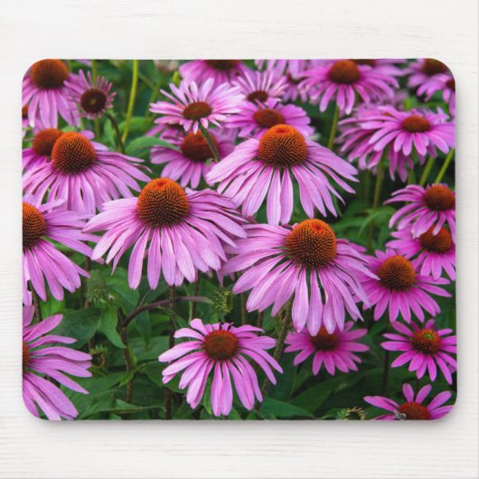 Flowers | Pink Coneflower Garden Muismat (Voorkant)