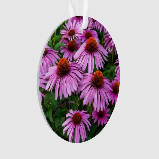 Flowers | Pink Coneflower Garden Ornament (voorkant)