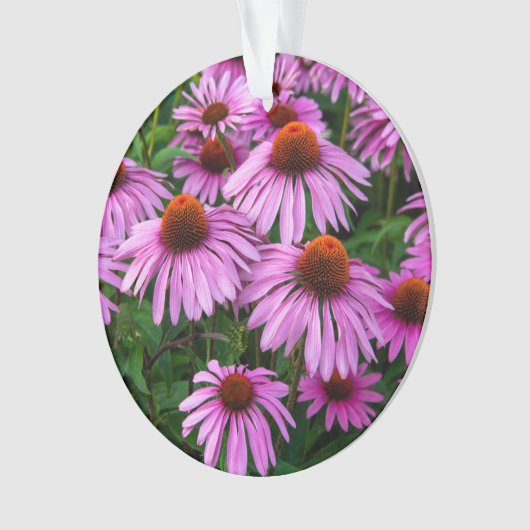 Flowers | Pink Coneflower Garden Ornament (voorkant)