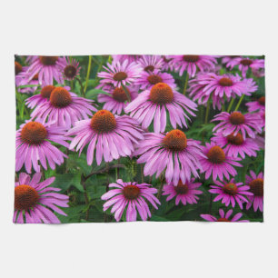Flowers   Pink Coneflower Garden Theedoek