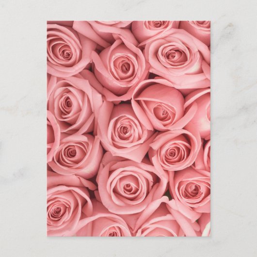 Flowers | Pink Roses Briefkaart (Voorkant)