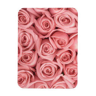 Flowers   Pink Roses Magneet