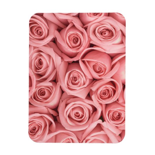 Flowers | Pink Roses Magneet (Verticaal)