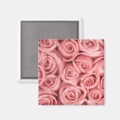 Flowers | Pink Roses Magneet (Voorkant / Achterkant)
