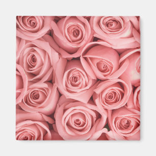 Flowers Pink Roses Magneet