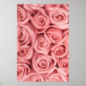 Flowers | Pink Roses Poster (Voorkant)