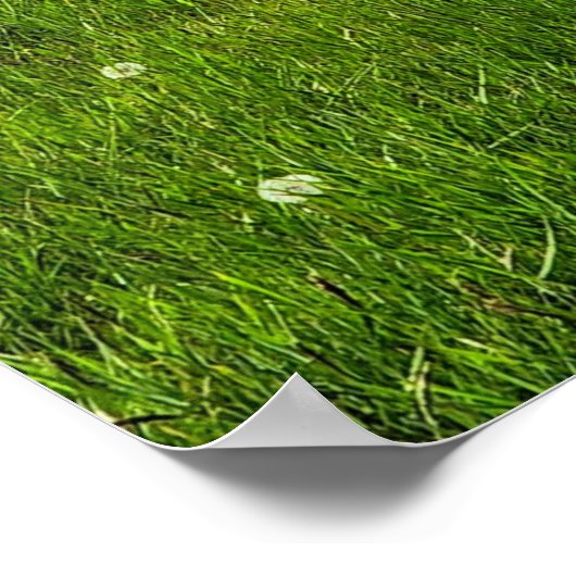 Flowers Poster (Hoek)