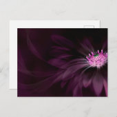 Flowers | Purple Daisy Briefkaart (Voorkant / Achterkant)