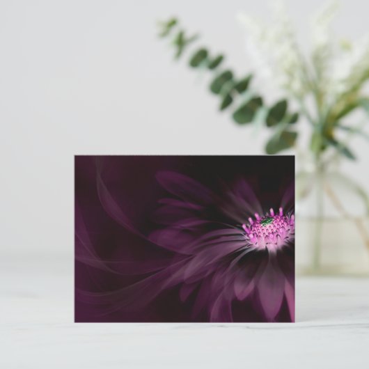 Flowers | Purple Daisy Briefkaart (Staand voorkant)