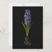 Flowers | Purple Hyacinth Bulb Bedankkaart (Voorkant)
