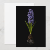 Flowers | Purple Hyacinth Bulb Bedankkaart (Voorkant / Achterkant)