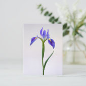 Flowers | Purple Iris Flower Briefkaart (Staand voorkant)