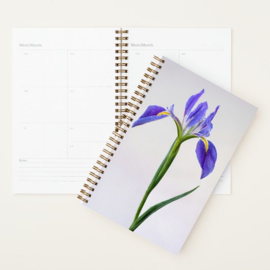Flowers | Purple Iris Flower Planner (Display)