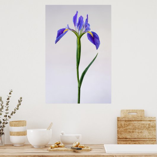 Flowers | Purple Iris Flower Poster (Keuken)