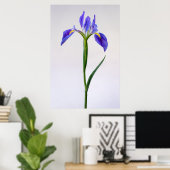 Flowers | Purple Iris Flower Poster (Thuiskantoor)