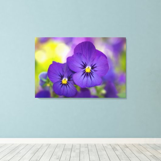 Flowers | Purple Pansie Canvas Afdruk (Insitu (Houten vloer))