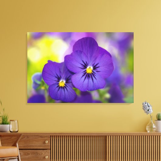 Flowers | Purple Pansie Canvas Afdruk (Insitu (Woonkamer))