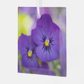 Flowers | Purple Pansie Glas Ornament (Voorkant links)
