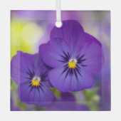 Flowers | Purple Pansie Glas Ornament (Voorkant)