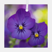 Flowers | Purple Pansie Glas Ornament (Achterkant)