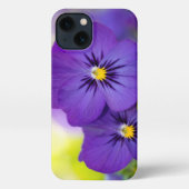 Flowers | Purple Pansie iPhone Hoesje (Achterkant)