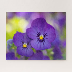 Flowers Purple Pansie Legpuzzel