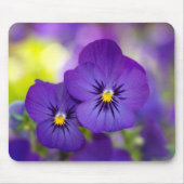 Flowers | Purple Pansie Muismat (Voorkant)