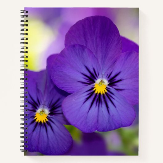 Flowers | Purple Pansie Notitieboek (Voorkant)