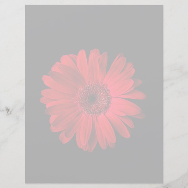 Flowers | Red Gerbera Daisy (Voorkant)