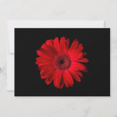 Flowers Red Gerbera Daisy Bedankkaart (Voorkant)
