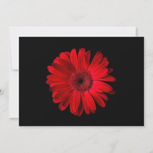 Flowers Red Gerbera Daisy Bedankkaart (Voorkant)