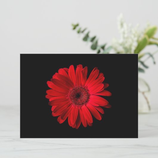 Flowers Red Gerbera Daisy Bedankkaart (Staand voorkant)